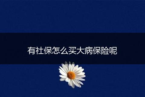 有社保怎么买大病保险呢