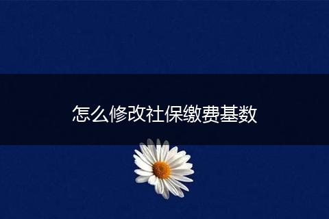 怎么修改社保缴费基数