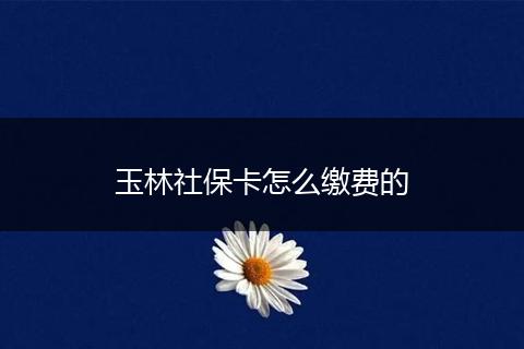 玉林社保卡怎么缴费的