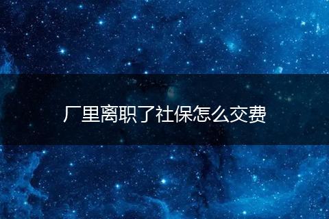 厂里离职了社保怎么交费