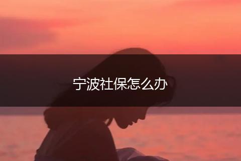 宁波社保怎么办