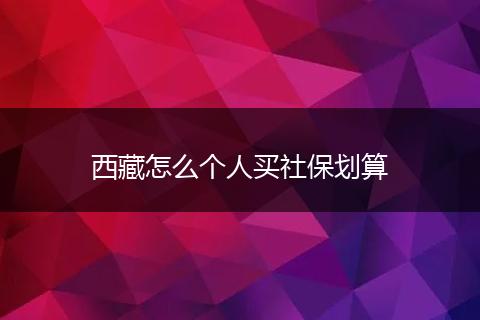 西藏怎么个人买社保划算