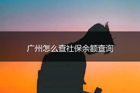 广州怎么查社保余额查询