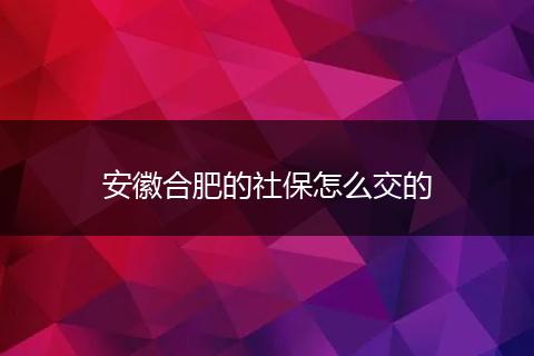 安徽合肥的社保怎么交的