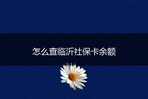 怎么查临沂社保卡余额