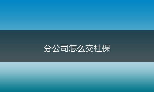 分公司怎么交社保