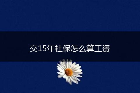 交15年社保怎么算工资