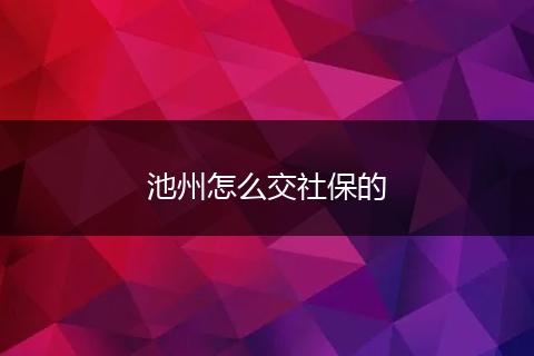 池州怎么交社保的