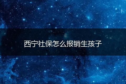 西宁社保怎么报销生孩子