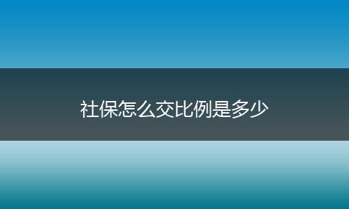 社保怎么交比例是多少