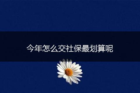 今年怎么交社保最划算呢