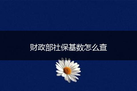 财政部社保基数怎么查