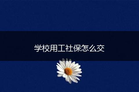 学校用工社保怎么交