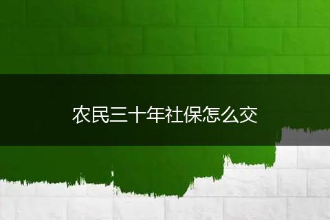 农民三十年社保怎么交