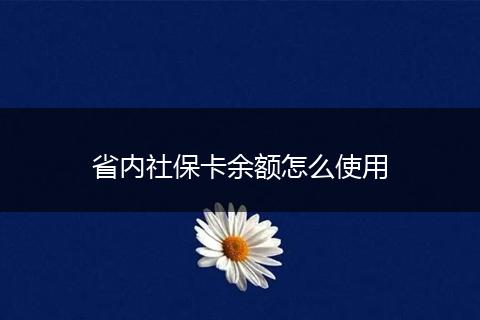 省内社保卡余额怎么使用