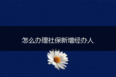 怎么办理社保新增经办人