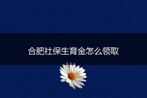 合肥社保生育金怎么领取