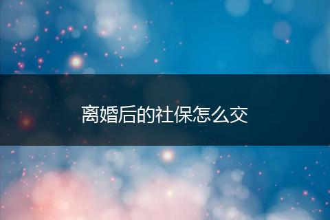 离婚后的社保怎么交