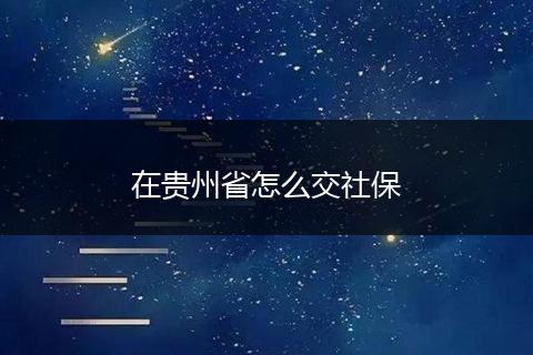 在贵州省怎么交社保