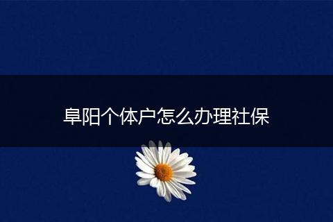 阜阳个体户怎么办理社保