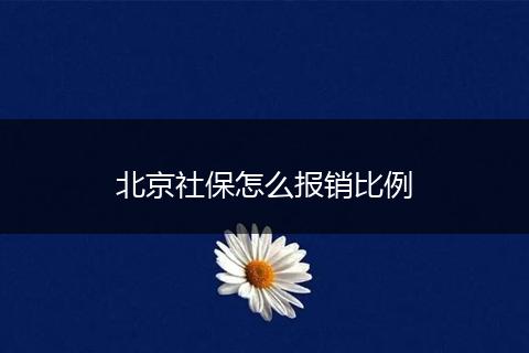 北京社保怎么报销比例