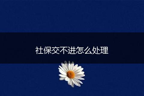 社保交不进怎么处理