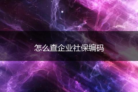 怎么查企业社保编码