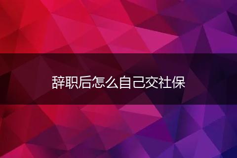 辞职后怎么自己交社保