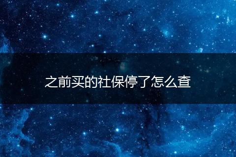 之前买的社保停了怎么查
