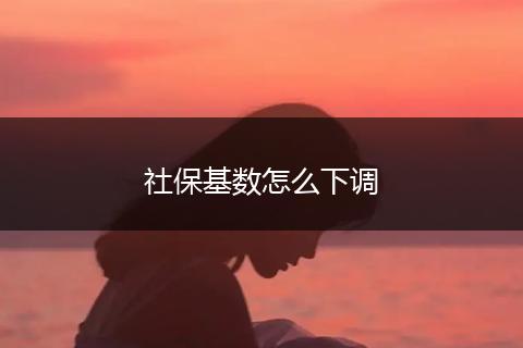 社保基数怎么下调