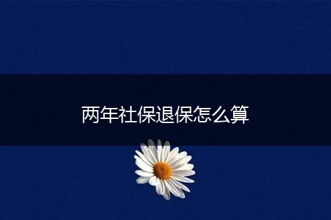 两年社保退保怎么算