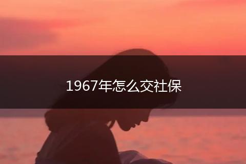 1967年怎么交社保
