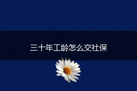 三十年工龄怎么交社保