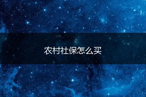 农村社保怎么买