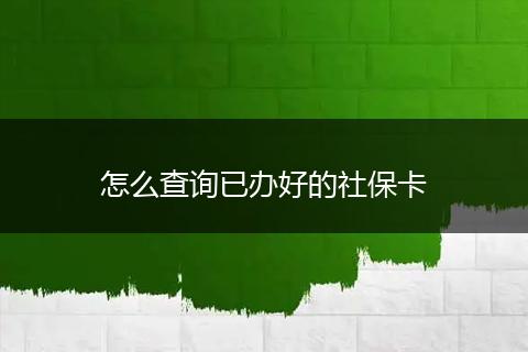 怎么查询已办好的社保卡