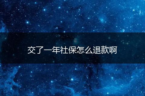 交了一年社保怎么退款啊