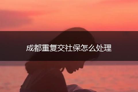 成都重复交社保怎么处理