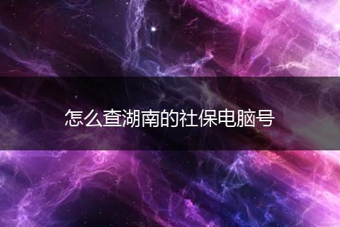 怎么查湖南的社保电脑号