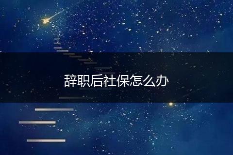 辞职后社保怎么办