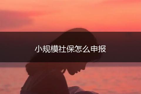 小规模社保怎么申报