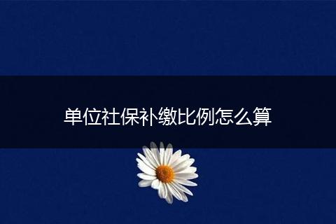 单位社保补缴比例怎么算