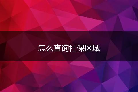 怎么查询社保区域
