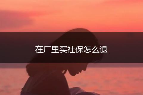 在厂里买社保怎么退