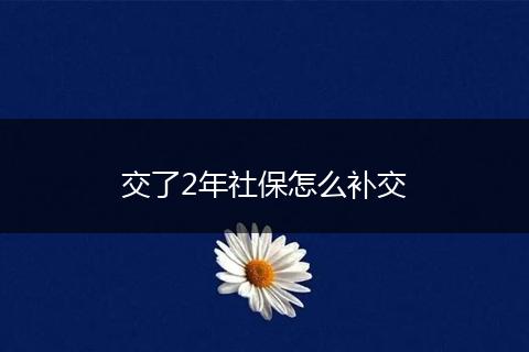 交了2年社保怎么补交