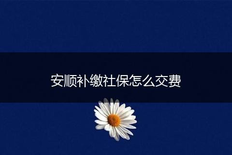 安顺补缴社保怎么交费
