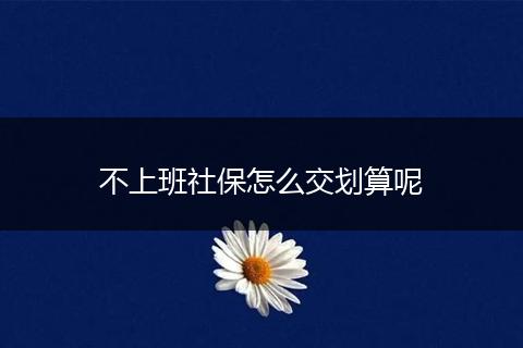 不上班社保怎么交划算呢