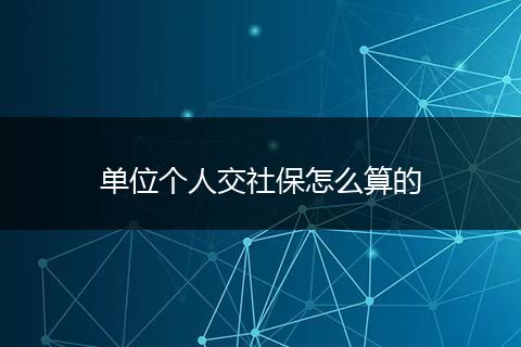 单位个人交社保怎么算的