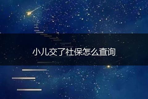 小儿交了社保怎么查询