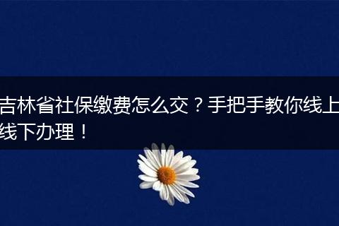 吉林省社保缴费怎么交？手把手教你线上线下办理！