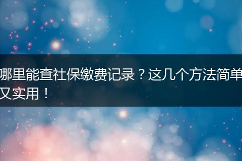 哪里能查社保缴费记录？这几个方法简单又实用！